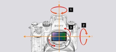 Ảnh của Alpha 9 trang bị cảm biến CMOS xếp chồng full-frame